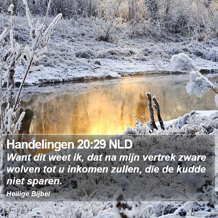 Handelingen 20:29 NLD Bible Study