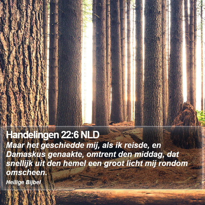 Handelingen 22:6 NLD Bible Study