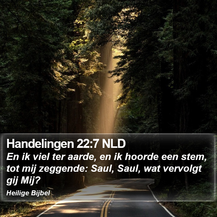 Handelingen 22:7 NLD Bible Study