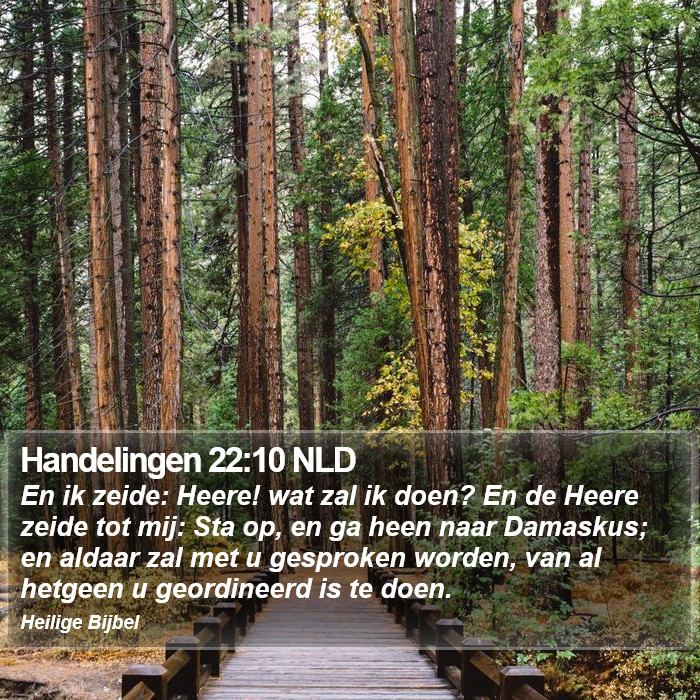 Handelingen 22:10 NLD Bible Study