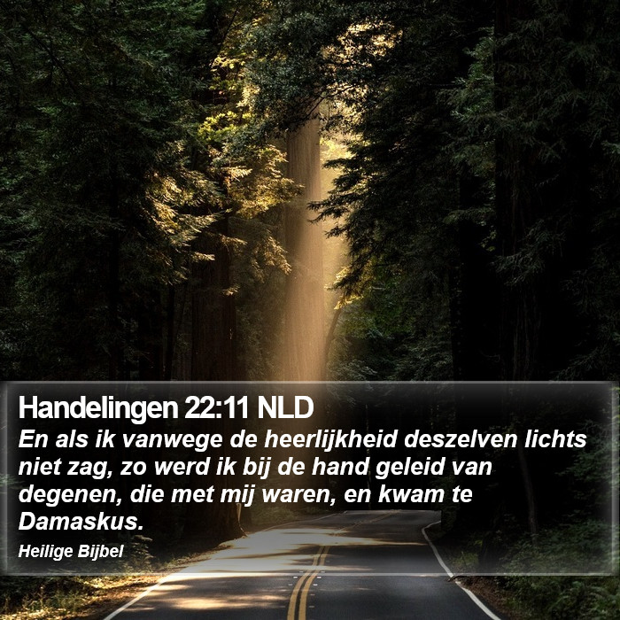 Handelingen 22:11 NLD Bible Study