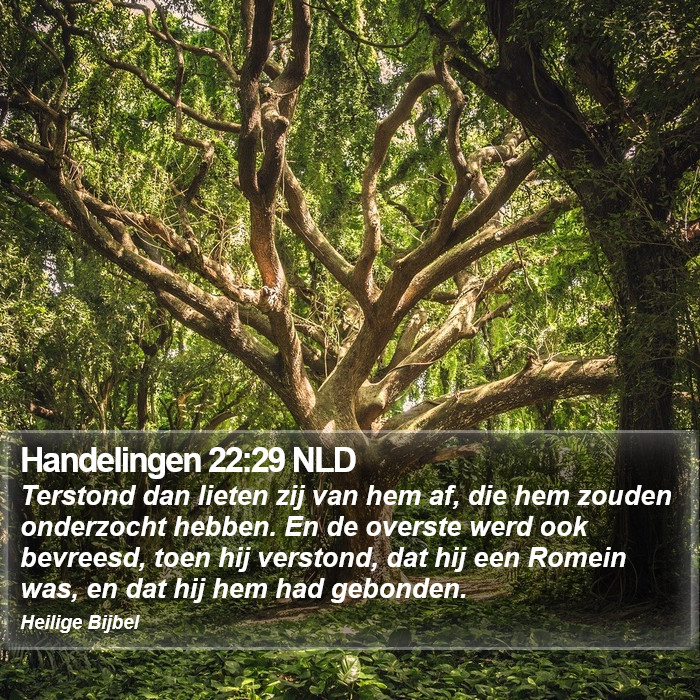 Handelingen 22:29 NLD Bible Study