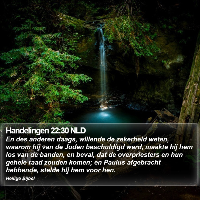 Handelingen 22:30 NLD Bible Study