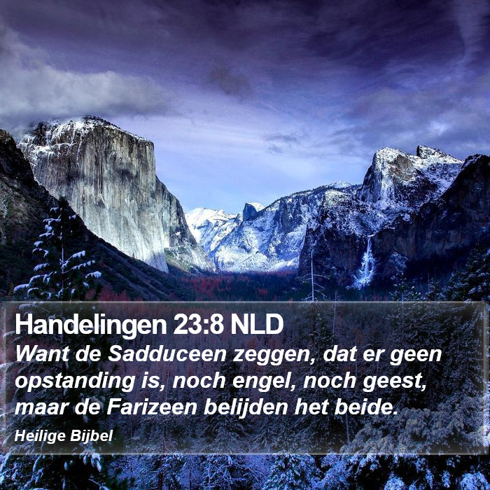 Handelingen 23:8 NLD Bible Study