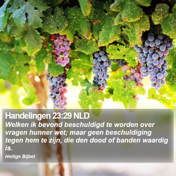 Handelingen 23:29 NLD Bible Study