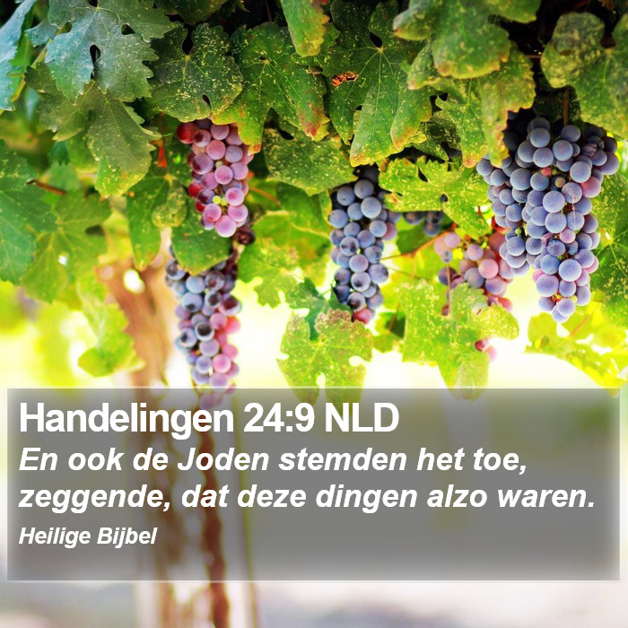 Handelingen 24:9 NLD Bible Study