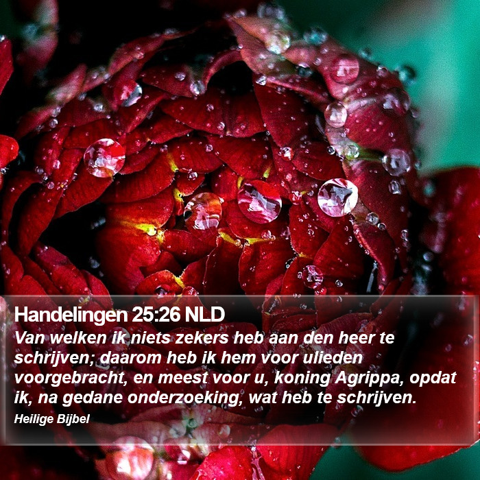 Handelingen 25:26 NLD Bible Study