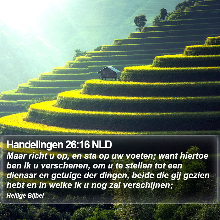 Handelingen 26:16 NLD Bible Study