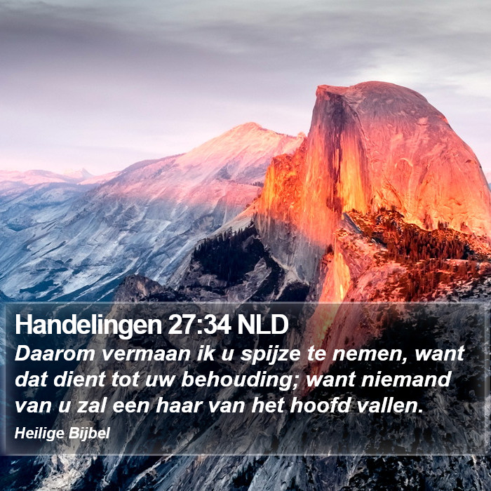 Handelingen 27:34 NLD Bible Study