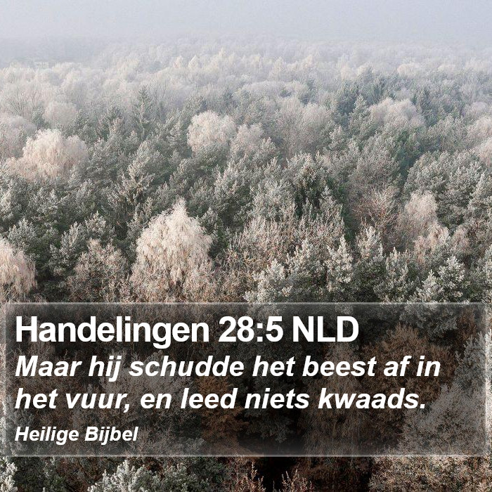 Handelingen 28:5 NLD Bible Study