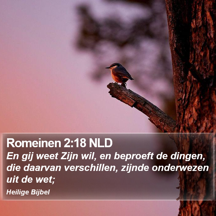 Romeinen 2:18 NLD Bible Study