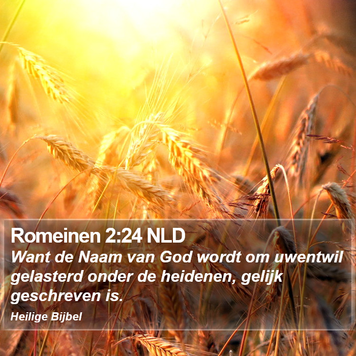 Romeinen 2:24 NLD Bible Study