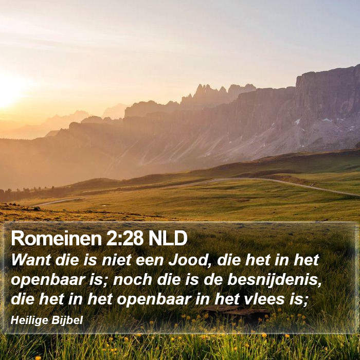 Romeinen 2:28 NLD Bible Study