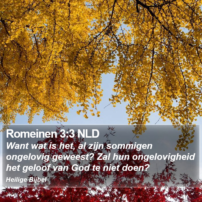 Romeinen 3:3 NLD Bible Study