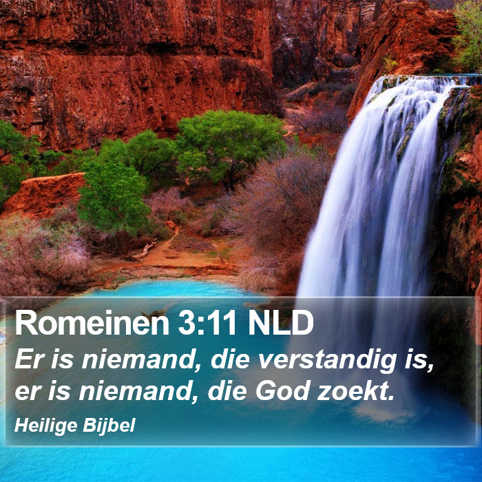 Romeinen 3:11 NLD Bible Study