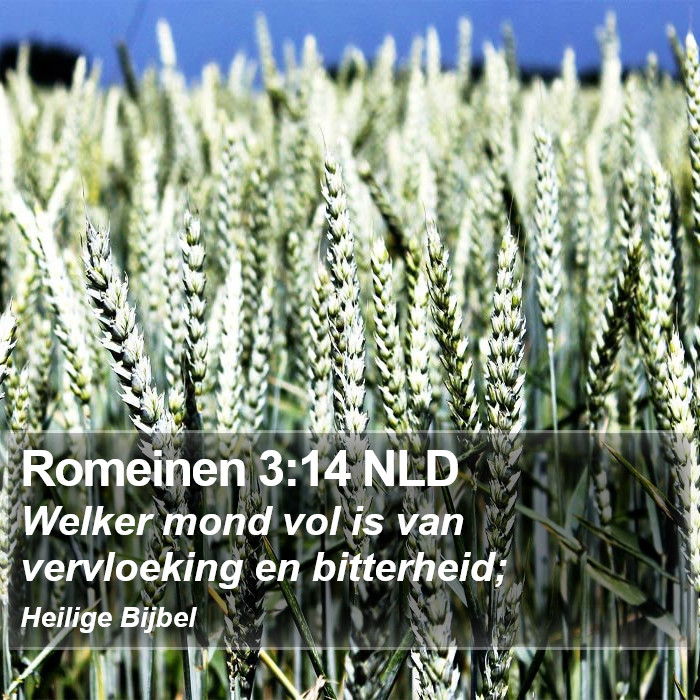 Romeinen 3:14 NLD Bible Study
