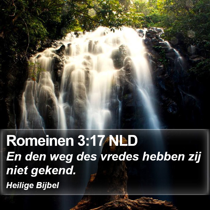 Romeinen 3:17 NLD Bible Study