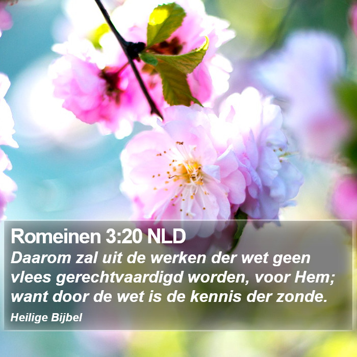 Romeinen 3:20 NLD Bible Study