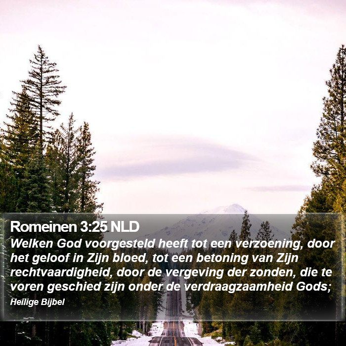 Romeinen 3:25 NLD Bible Study