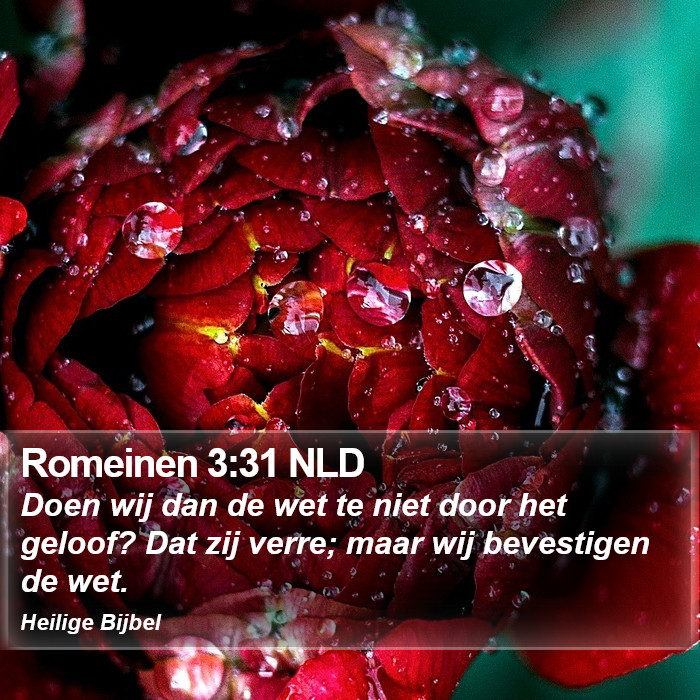 Romeinen 3:31 NLD Bible Study