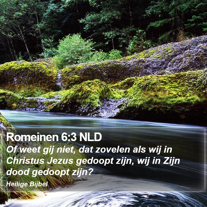 Romeinen 6:3 NLD Bible Study