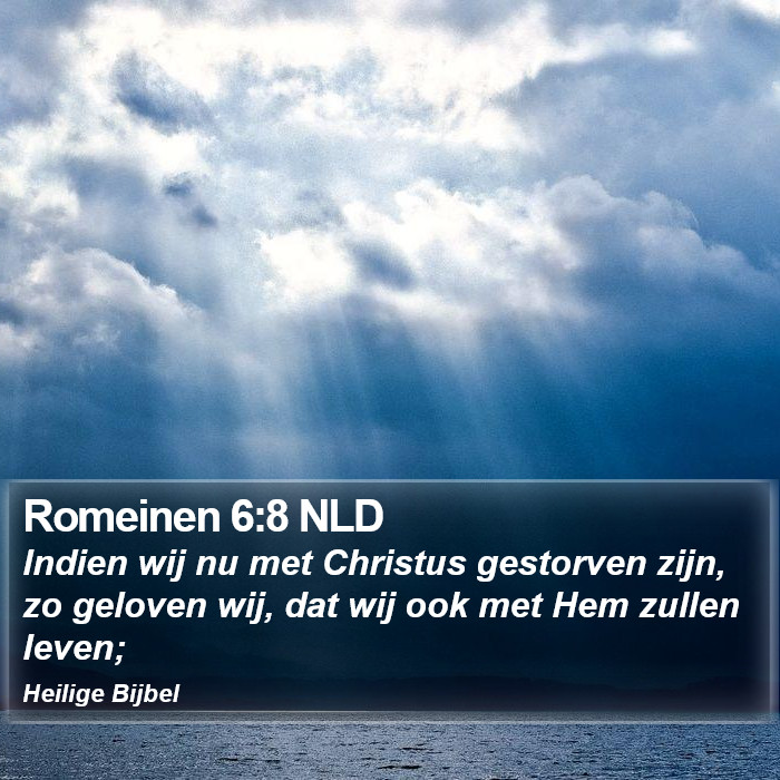 Romeinen 6:8 NLD Bible Study