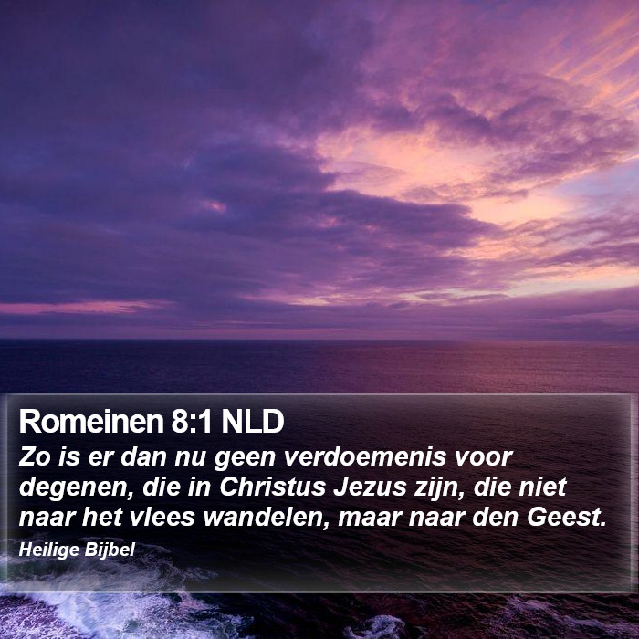 Romeinen 8:1 NLD Bible Study