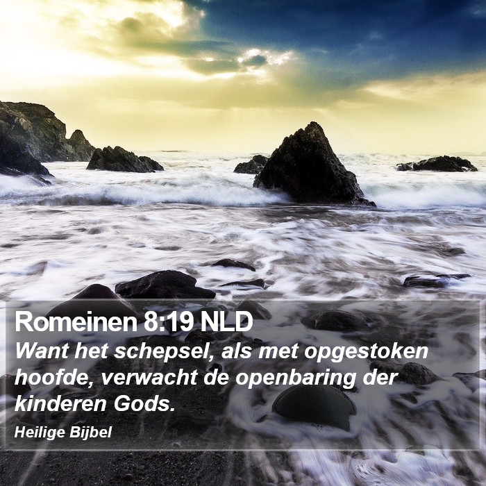 Romeinen 8:19 NLD Bible Study