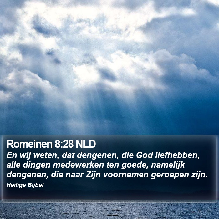 Romeinen 8:28 NLD Bible Study