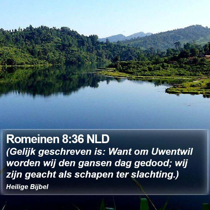 Romeinen 8:36 NLD Bible Study