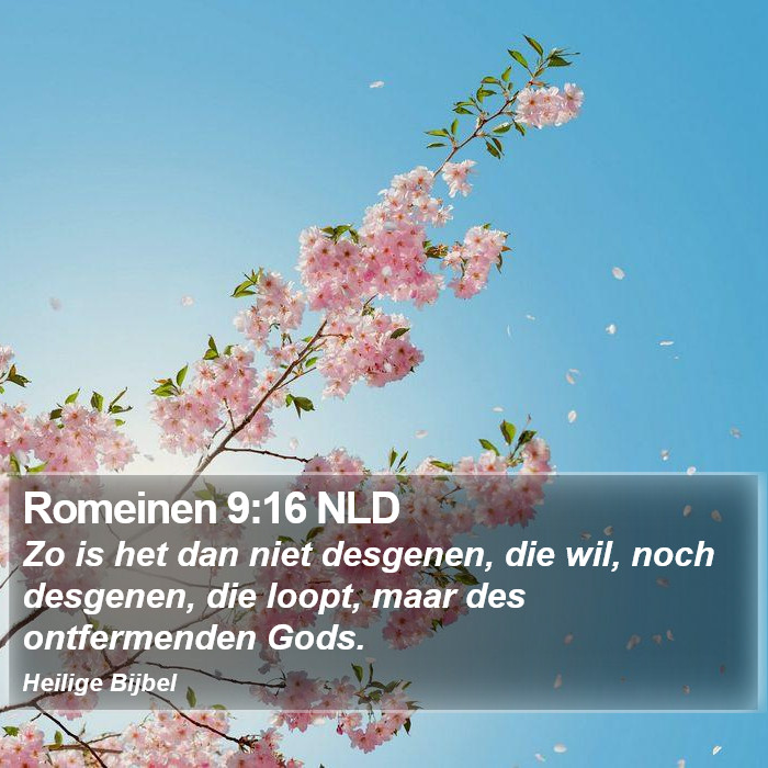 Romeinen 9:16 NLD Bible Study