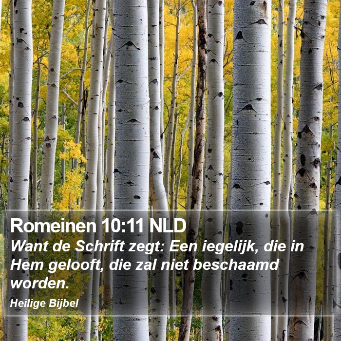 Romeinen 10:11 NLD Bible Study