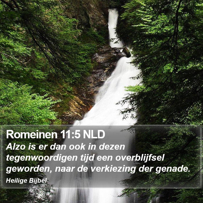 Romeinen 11:5 NLD Bible Study