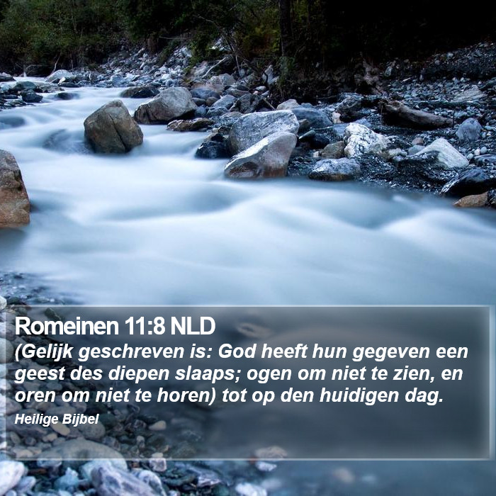 Romeinen 11:8 NLD Bible Study