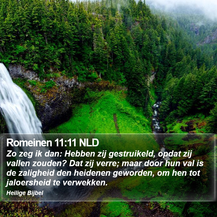 Romeinen 11:11 NLD Bible Study