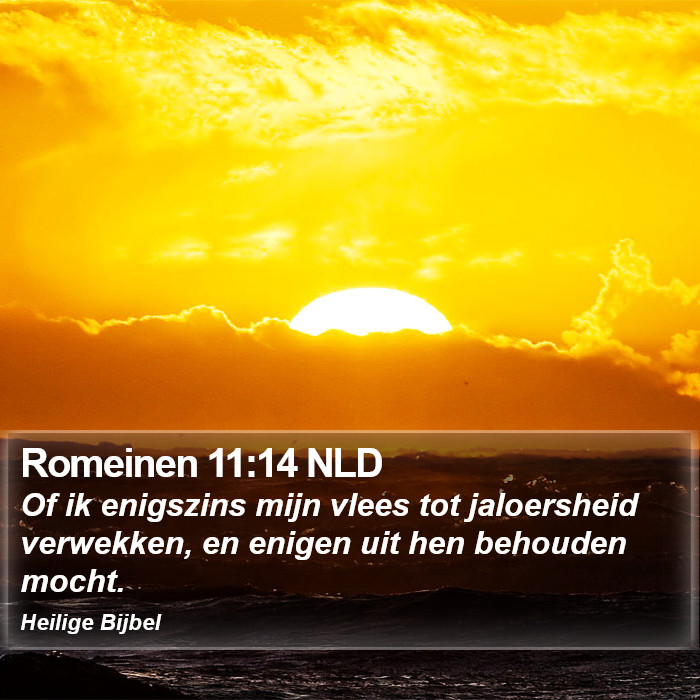 Romeinen 11:14 NLD Bible Study