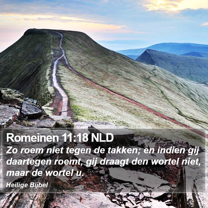 Romeinen 11:18 NLD Bible Study