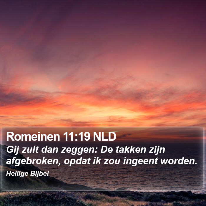 Romeinen 11:19 NLD Bible Study