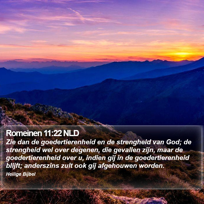 Romeinen 11:22 NLD Bible Study