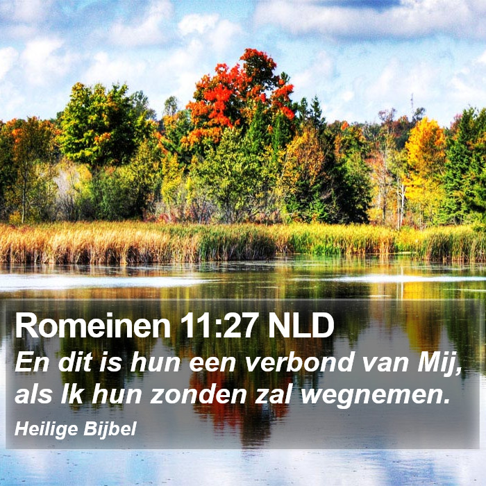 Romeinen 11:27 NLD Bible Study