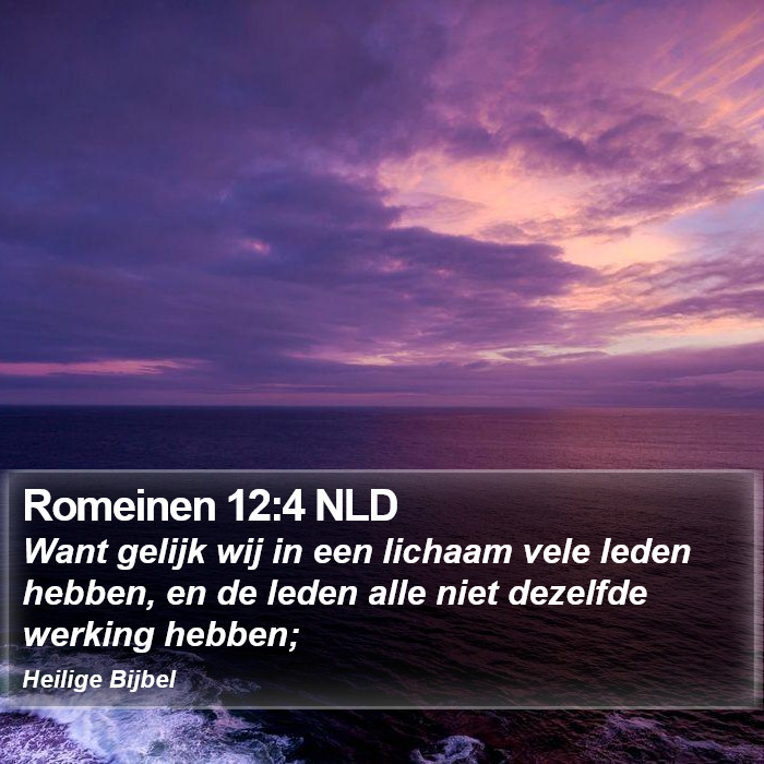 Romeinen 12:4 NLD Bible Study