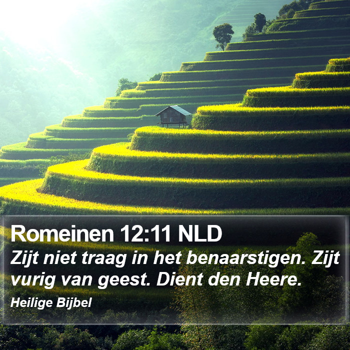 Romeinen 12:11 NLD Bible Study