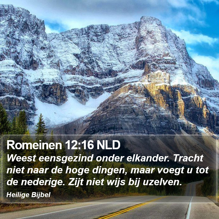 Romeinen 12:16 NLD Bible Study