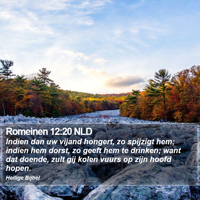 Romeinen 12:20 NLD Bible Study