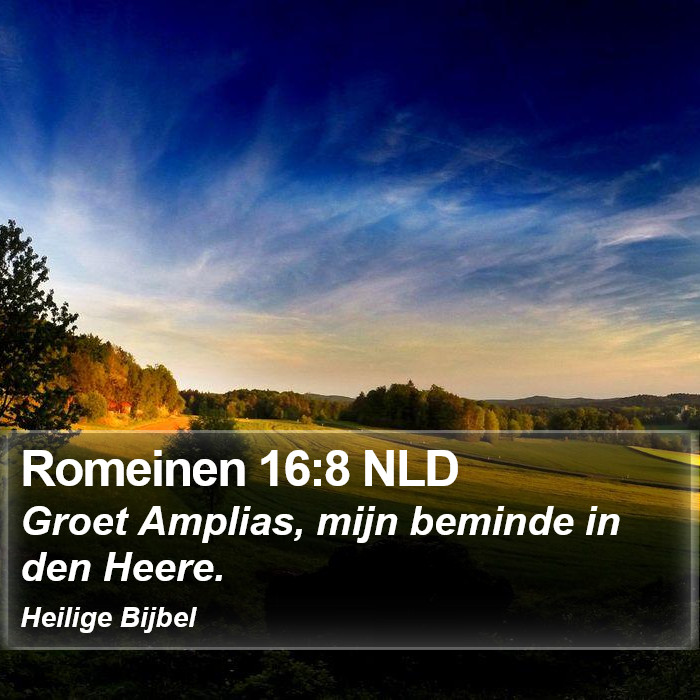 Romeinen 16:8 NLD Bible Study