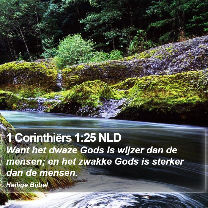 1 Corinthiërs 1:25 NLD Bible Study