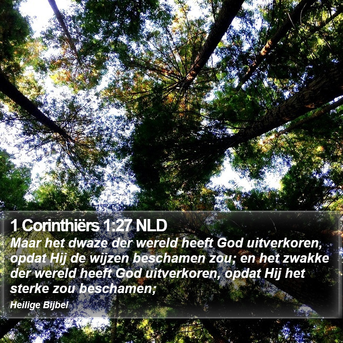 1 Corinthiërs 1:27 NLD Bible Study