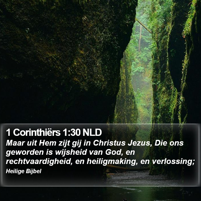 1 Corinthiërs 1:30 NLD Bible Study