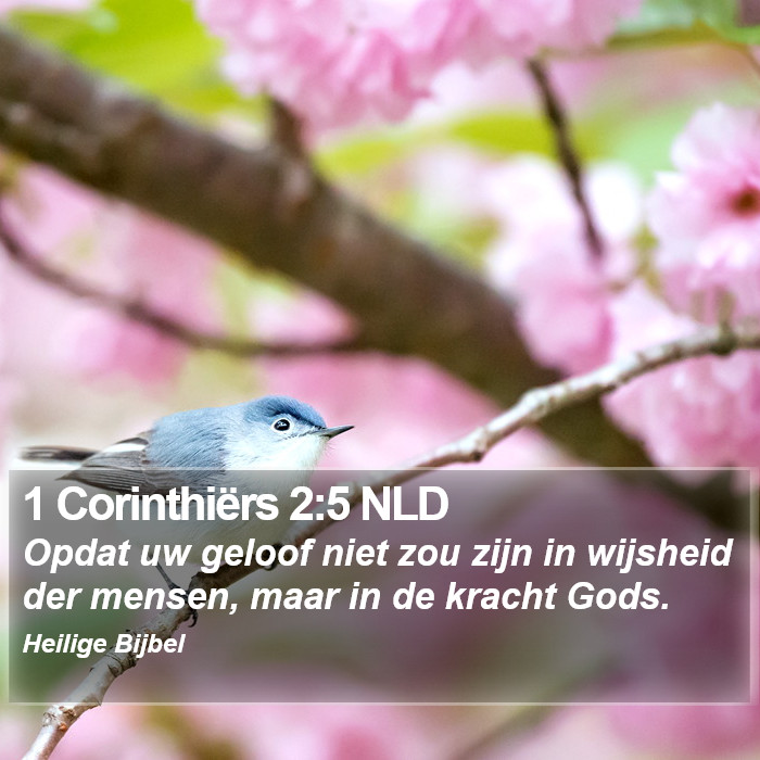 1 Corinthiërs 2:5 NLD Bible Study