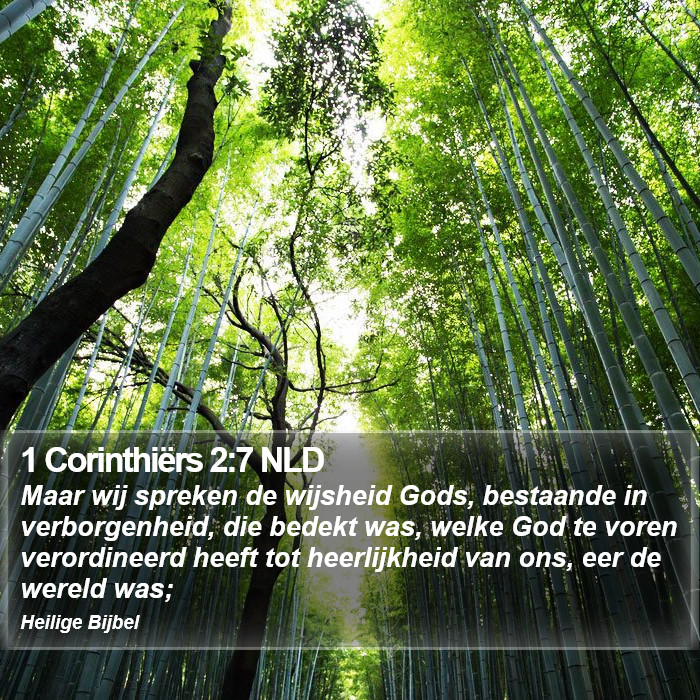 1 Corinthiërs 2:7 NLD Bible Study